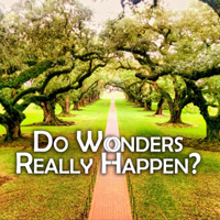 Do Wonders Really Happen - DJ O